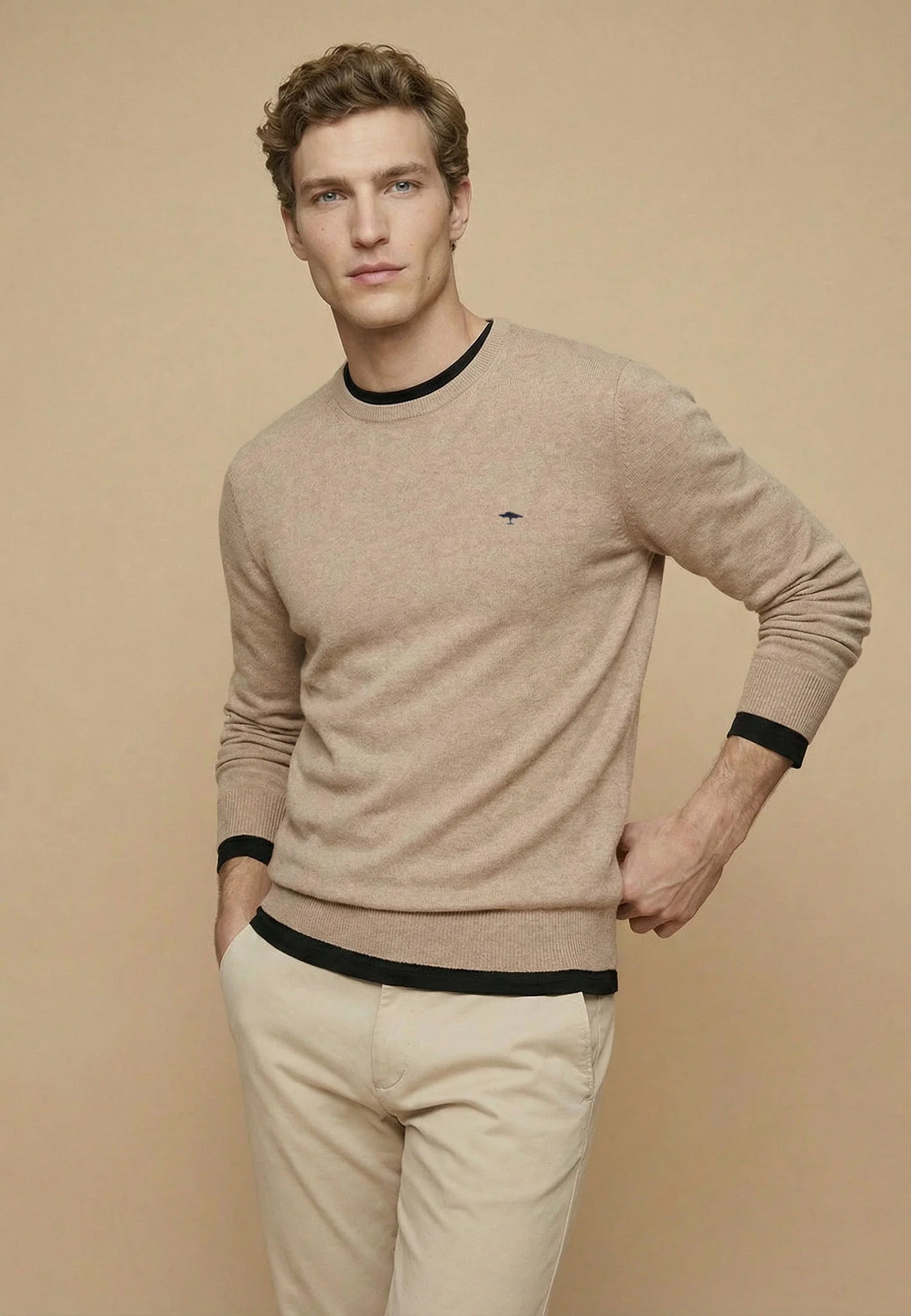 Pull en maille fine 100% coton à col rond taupe - jusqu’au 3XL